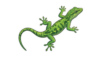 Fototapeta premium Green Gecko Lizard Illustration Isolated on White Background