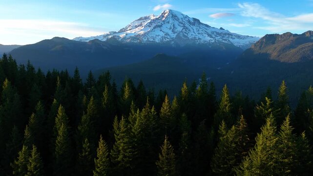 Mount Rainier National Park And Forested River Valley