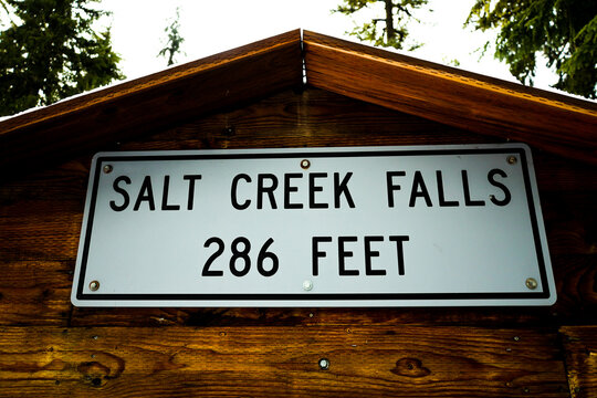 Official Elevation of Salt Creek Falls at 286 Feet Informational Trail Sign