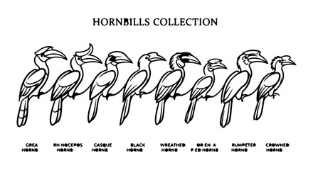 Hornbills icon set, outline style, white background © Joya