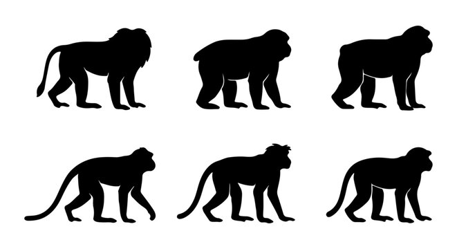 Monkey icon set silhouette, white background, vector illustration