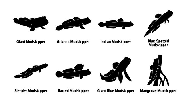 Mudskipper fish icon set, silhouette, white background