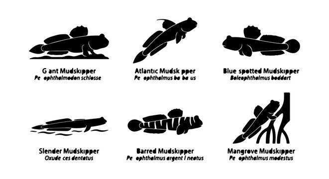 Mudskipper icon set, silhouette style, white background