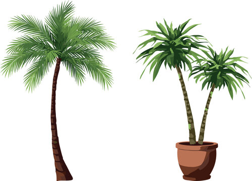 Tropical Palm Tree and Potted Yucca Plant Vector Set with Green Foliage and Terracotta Planter for Exotic Botanical and Interior Decoration Graphic Designs
