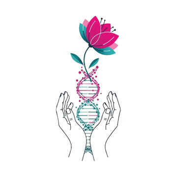 Hands nurturing a DNA helix with a blooming lotus flower emerging