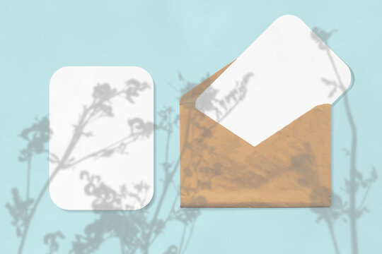 The shadow of wildflowers falls on an envelope with two sheets of textured white paper on a blue background. Mockup horizontal orientation