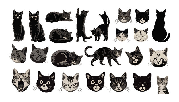 Digital illustration of multiple cat stickers on white background