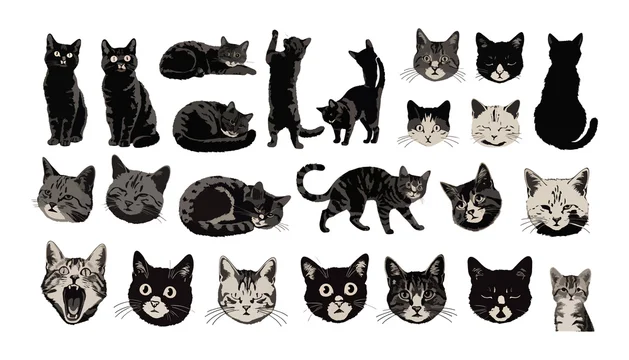 Digital illustration of multiple cat stickers on white background
