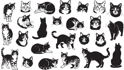 Obraz premium Black and white illustration of a standing tabby cat