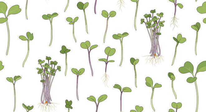 Seamless background pattern featuring various types of fresh green microgreen sprouts and seedlings on a white background.