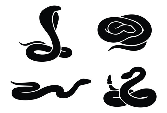 Snake types set &mdash; cobra raised, coiled snake, python straight, rattlesnake icon Silhouette Vector black design on a white background
