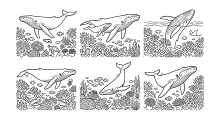 Whale illustrations with coral and marine life black and white vector artwork © Nayem
