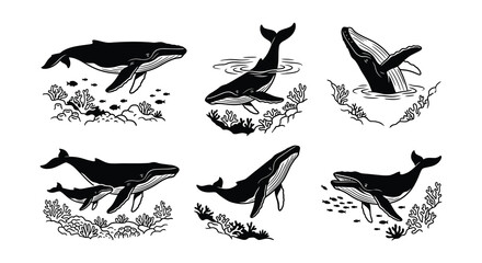Whale illustrations with coral and marine life black and white vector artwork © Nayem