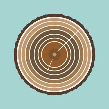 Flat vector illustration of a circular tree trunk slice