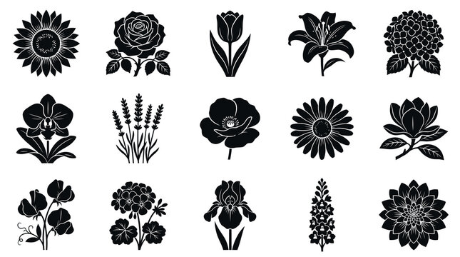 Black  White Vector Flower Icons - Floral Decorative Elements