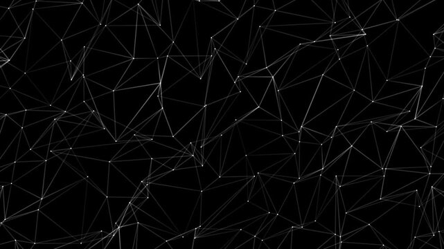 Abstract geometric lines form a dynamic, interconnected pattern. White dots glow softly against a deep black background. Triangles and polygons shift subtly, evoking digital networks