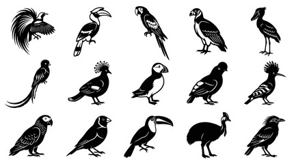 Obraz premium Ornithology Black White Vector Birds Glyphs Set - Diverse Avian Species Silhouettes Collection