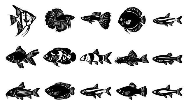 Black and White Vector Aquarium Fish Species Set - Tropical Pet Fish Collection Icons