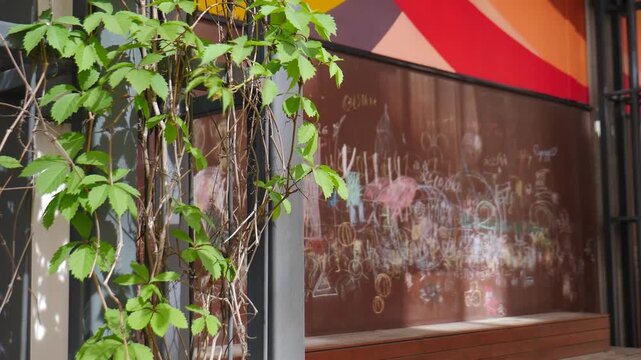 Concrete wall on building facade with abstract blurred background and white markings in chalk. Wall in chalk and green leaves. Moscow residential area. pattern with urban street art elements. 4 k 