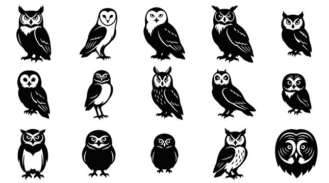 Black and White Owl Icons - Cute Bird Illustrations for Wildlife Design