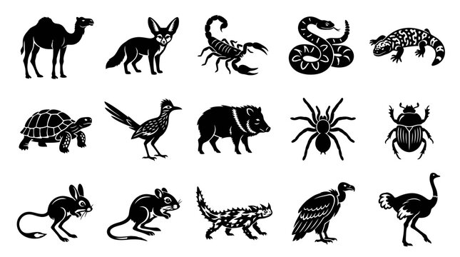 Black and White Vector Icons of Desert Animals and Insects