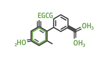 Fototapeta premium EGCG Chemical Structure Diagram - Antioxidant Molecule