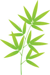 Fototapeta premium Elegant Green Bamboo Leaf Branch Vector Illustration as a Seamless Pattern Item and Wedding Item for Nature Decoration