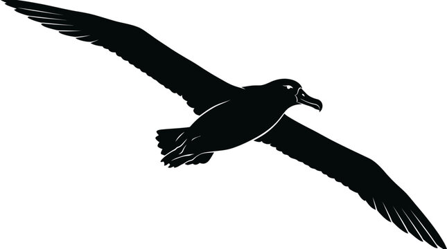 Black silhouette of an albatross bird flying with spread wings vector illustration