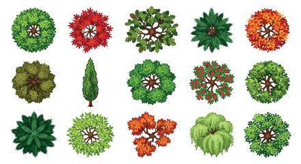 Trees From Above Vector Illustration On A White Background © NIPU