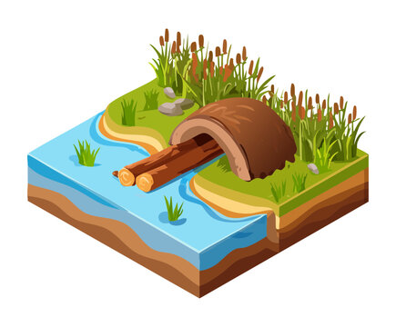 Isometric swamp wetlands ecosystem with a hollow log tunnel bridge over a slow river surrounded by tall reeds game map
