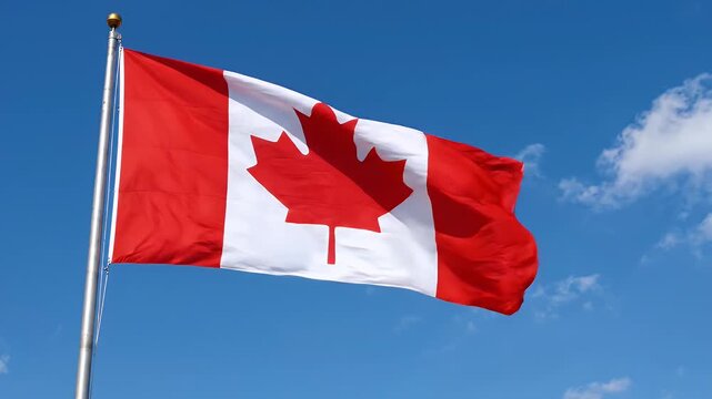 Canadian Flag Waving in Clear Blue Sky - The national flag of Canada, featuring the iconic red maple leaf on a white background bordered by red stripes, is shown waving gently in the wind against a