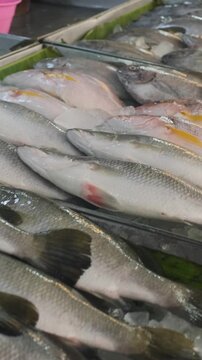 Vertical video. Variety of whole freshly caught fish laid out side by side on a wet counter at an open-air market stall in Thailand. Local seafood trade concept