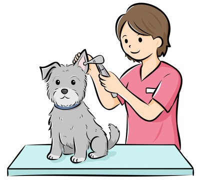 HPやカタログで使いやすい動物病院で診察を受ける犬（シュナウザー）のベクターイラスト