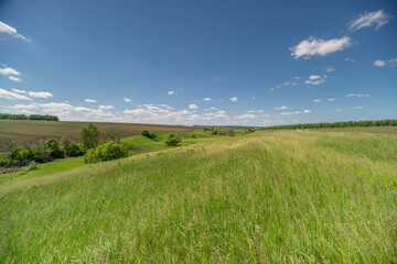 Obraz premium Sunny green meadow and rolling countryside under blue sky