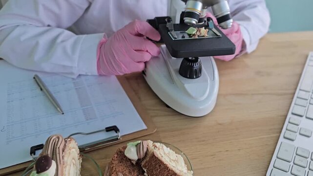 Examining cake samples under a microscope in a lab setting to study food quality and safety practices
