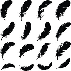 Black feather silhouettes collection isolated on white background vector illustration set of different bird feathers graphic icons © Mr Ashik02