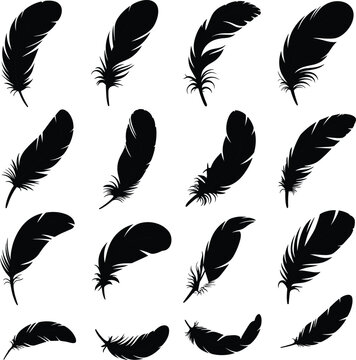 Black feather silhouettes collection isolated on white background vector illustration set of different bird feathers graphic icons