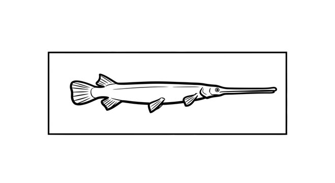 Alligator Gar Fish Silhouette, Long Snout, Aquatic Animal Illustration
