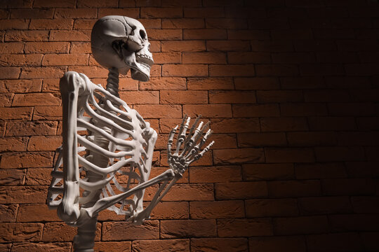 Human skeleton model praying near brick wall