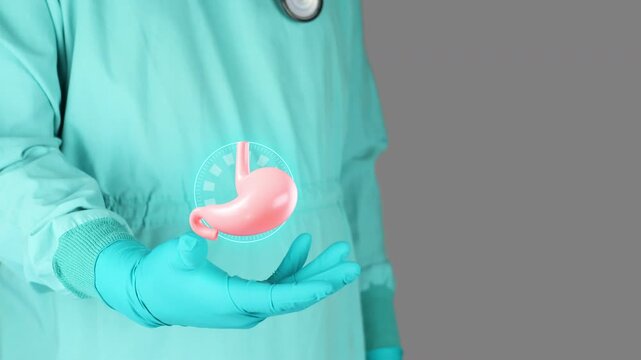 Doctor in green uniform presents a 3D model of the stomach. Concept of digestive health, gastroenterology, gastric function, prevention and awareness of ulcers and stomach cancer. Isolated.