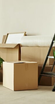 Empty room, house and boxes for moving, real estate and property investment for relocation with ladder. New home, mortgage and cardboard container for fresh start, package and rental apartment space