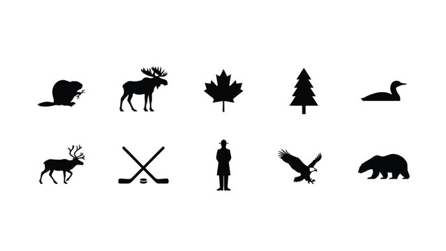 Set of nature and outdoor adventure icons featuring forest animals and sports symbols.
