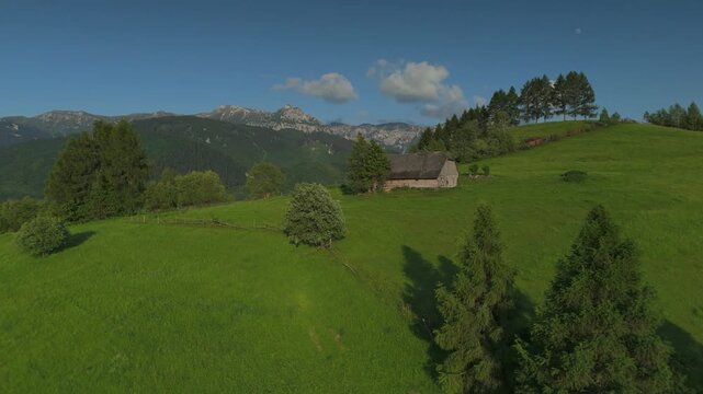 Serene summer landscape of Simon Bran with wind blown grass and majestic Bucegi Mountains, continuous medium altitude aerial drone forward flight pushing over hay fields and barns