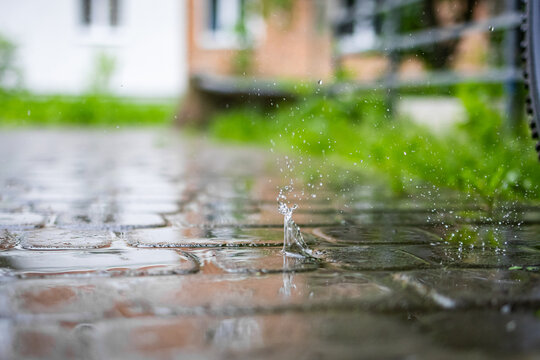Closeup raindrop splash crowns on a wet cobblestone path in a quiet courtyard as summer rain falls softly