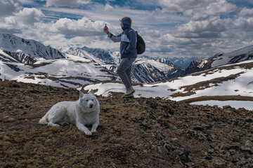 Side view of traveler holding smartphone to search for cell signal in mountains with dog. Active tourist with husky exploring remote snowy ridge valley under cloudy sky. © ANDREY