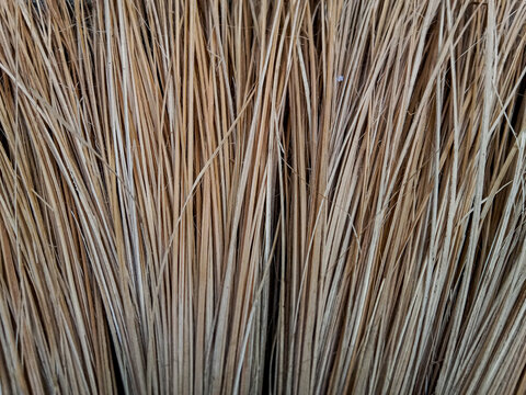 Coconut tree broom background