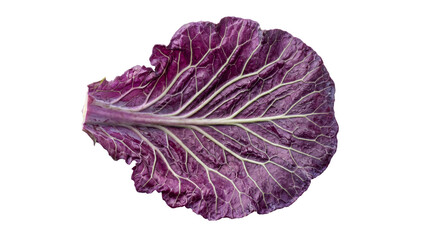 Obraz premium Fresh Purple Cabbage Leaf Isolated on White Background Transparent PNG Organic Vegetable Texture