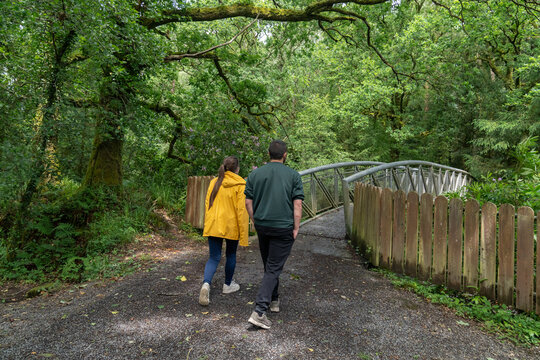 Couple exploring forest path enjoying nature walk over bridge