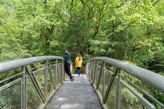 People walking on metal bridge in lush green forest