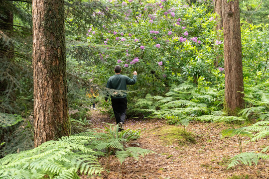 Man walking forest path exploring natural beauty